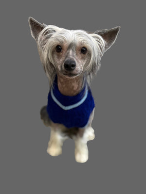 Lookin' Good Dog Sweater - Blue SALE
