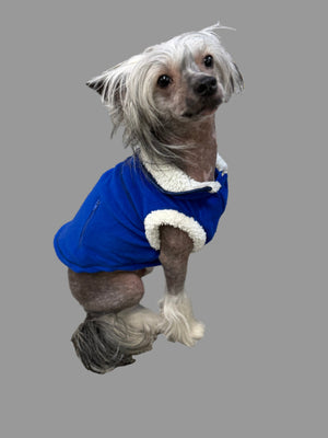 Lookin' Good Blue Polar Fleece SALE