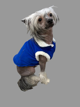Lookin' Good Blue Polar Fleece SALE
