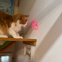 Riley & Rex 7 Function Flashlight & Laser Pointer (NEW)