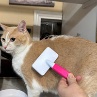 Riley & Rex Non-Slip Slicker Brush