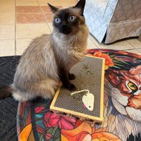 Riley & Rex Carboard Cat Scratcher (NEW)