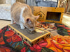 Riley & Rex Carboard Cat Scratcher (NEW)