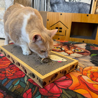 Riley & Rex Carboard Cat Scratcher (NEW)