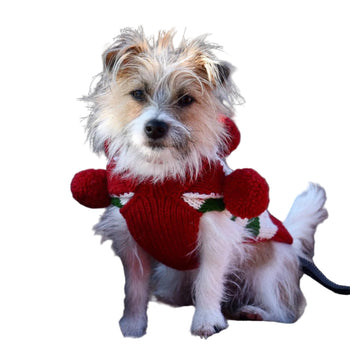 Chilly Dog Novelty Xmas Elf Sweater SALE