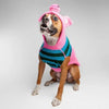 Chilly Dog Sweater Piggy SALE