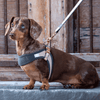 Rogz Fast-Fit Adjustable Urban Dog Harness Pink Blush