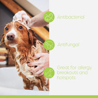 SWEDERMA Therapeutic KETO-C Shampoo for Dogs & Cats (Cucumber Melon)