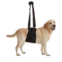 Zen Pet Buddy Lift