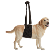 Zen Pet Buddy Lift