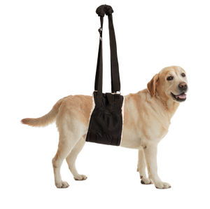 Zen Pet Buddy Lift