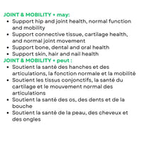 Myco Pet – Joint & Mobility+ Supplement – 30g for Dogs & Cats (NEW)