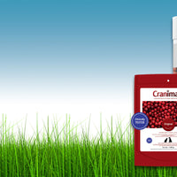 Cranimals Original SALE