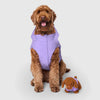 Canada Pooch Mini-Me Pooch Pal Dog Toy - Bailey the Doodle