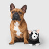 Canada Pooch Mini-Me Pooch Pal Dog Toy - Bob The Frenchie