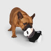 Canada Pooch Mini-Me Pooch Pal Dog Toy - Bob The Frenchie