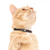 Nuvuq Collar With Safe Breakaway Button Cat