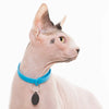 Nuvuq Collar With Safe Breakaway Button Cat