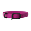 Nuvuq Raspberry Pink Collar Dog