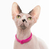 Nuvuq Collar With Safe Breakaway Button Cat