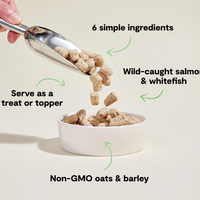 Open Farm® Goodbowl Wild-Caught Salmon Recipe with Wholesome Grains Freeze-Dried Raw Dog Food 8oz