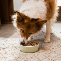Open Farm® Goodbowl Grass-Fed Beef Recipe with Wholesome Grains Freeze-Dried Raw Dog Feed 8oz