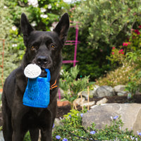 P.L.A.Y. Blooming Buddies Wagging Watercan Can