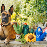 P.L.A.Y. Blooming Buddies Wagging Watercan Can