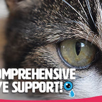 Pet Eyes Freeze-Dried Vitamin Treats for Cats - Chicken