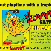 Yeowww Pineapple Cat