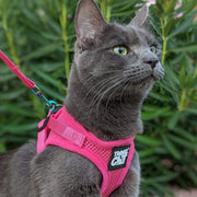 Travel Cat "The True Adventurer" Reflective Cat & Kitten Harness and Leash