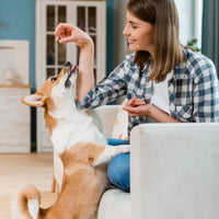 Cymbia Flexitude+ Joint Health Dog 90 Chews (NEW)