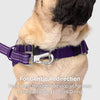 Canada Pooch® Redirect Harness Purple/Lavender