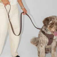 Dexypaws Waterproof Dog Leash, Espresso Dog