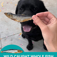 Plato Baltic Herring 3 oz (85g)