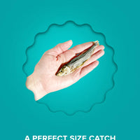 Plato Baltic Herring 3 oz (85g)