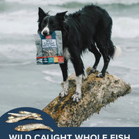 Plato Pet Treats Baltic Sprat 85g