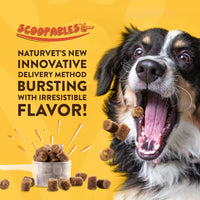 NaturVet® Scoopables® Advanced Probiotics & Enzymes Supplement for Dogs (45 scoops)