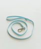 Dexypaws Waterproof Dog Leash, Sky Blue