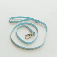 Dexypaws Waterproof Dog Leash, Sky Blue