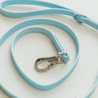 Dexypaws Waterproof Dog Leash, Sky Blue