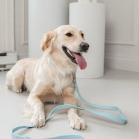 Dexypaws Waterproof Dog Leash, Sky Blue