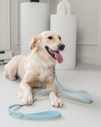 Dexypaws Waterproof Dog Leash, Sky Blue