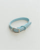 Dexypaws Waterproof Dog Collar, Sky Blue