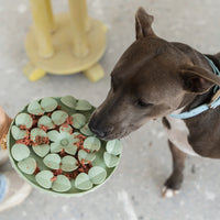 Dexypaws Circle Hide and Seek Silicone Snuffle Mat, Army Green Cat or Dog