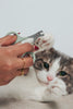 Dexypaws Nail Clipper For Cats & Small Pets
