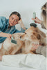Dexypaws Perfect Fur Soft Slicker Brush For Pets