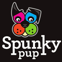 Spunky Pup® RX Bad Dog Pill Dog Toy