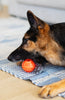 Totally Pooched Stuff'n Brush Ball 3"
