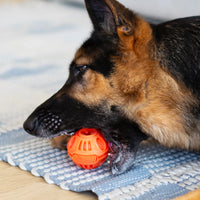 Totally Pooched Stuff'n Brush Ball 3"